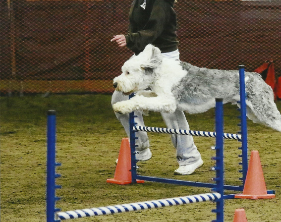 21 Agility